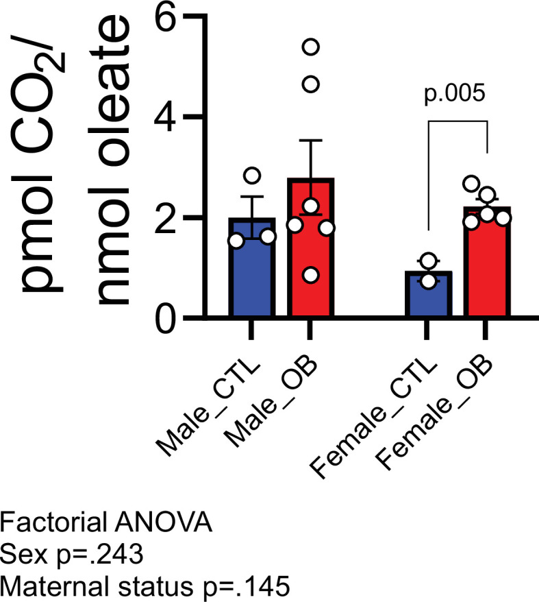 Figure 6—figure supplement 1.