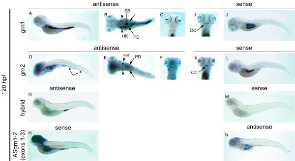 Figure 11