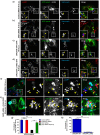 Fig 10