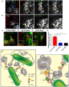 Fig 11