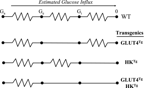 Fig. 8.