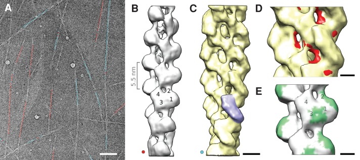 FIGURE 2: