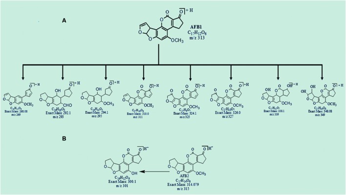 FIGURE 3