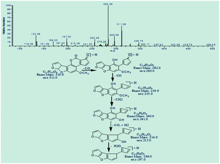 FIGURE 7