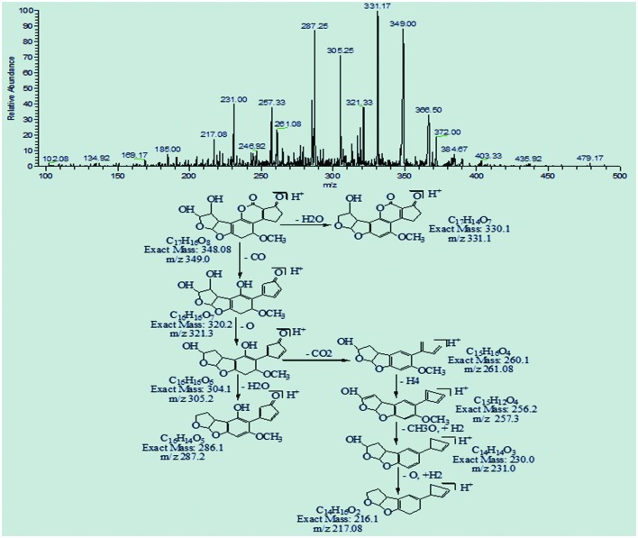 FIGURE 11