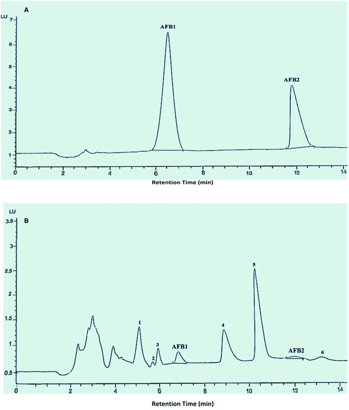 FIGURE 1