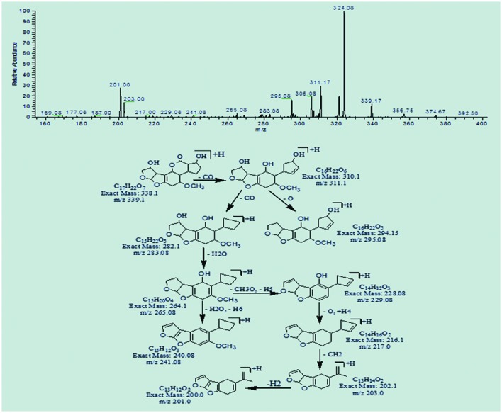 FIGURE 10