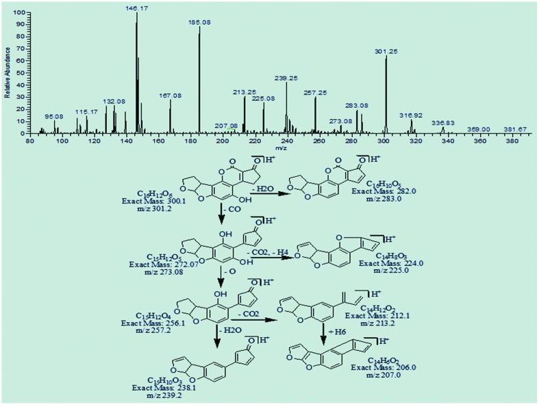 FIGURE 12