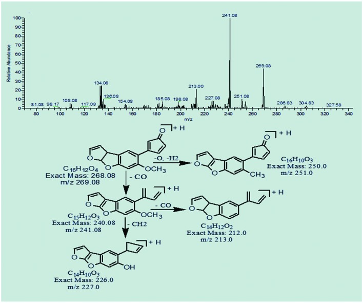 FIGURE 4