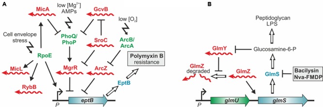 FIGURE 3