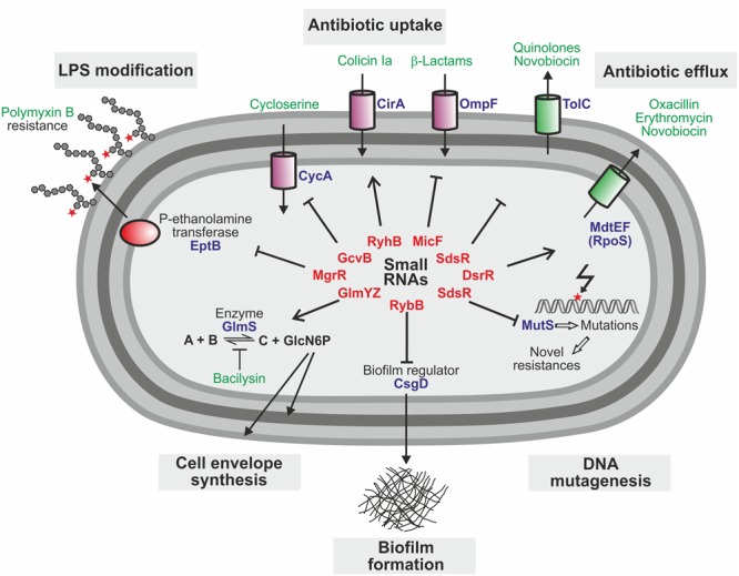 FIGURE 2