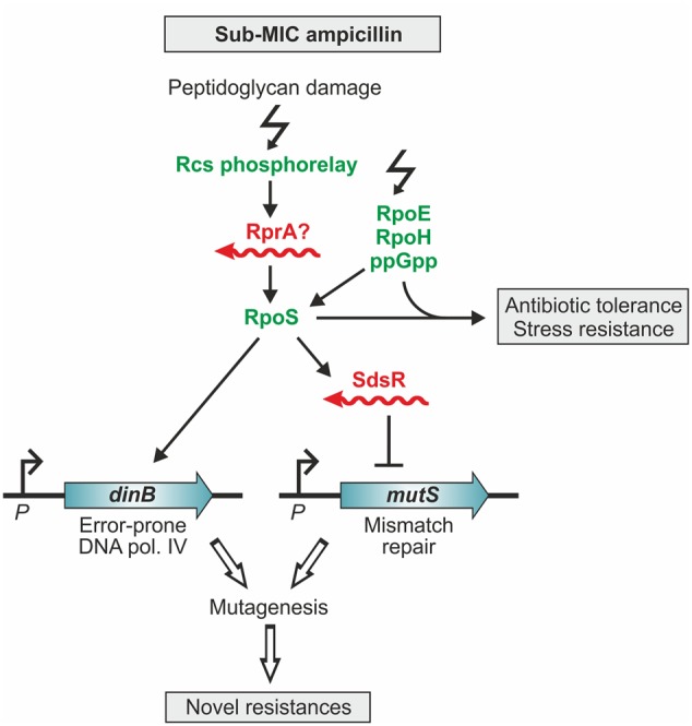 FIGURE 4