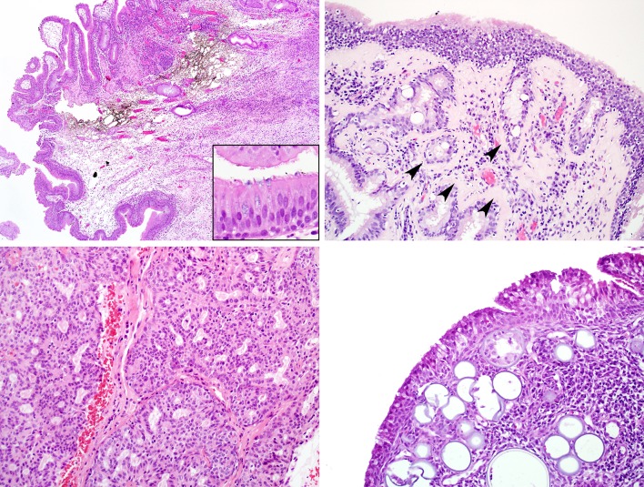 Fig. 7