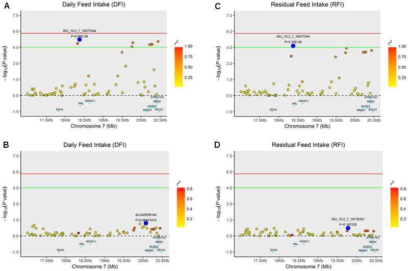 FIGURE 2