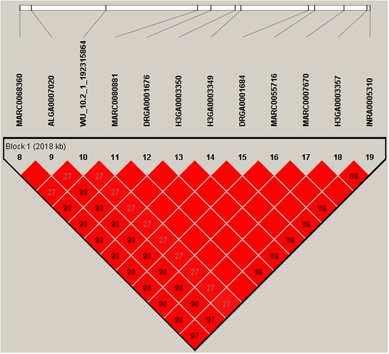 FIGURE 4