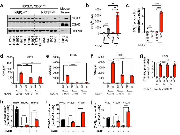 Figure 5—figure supplement 3.