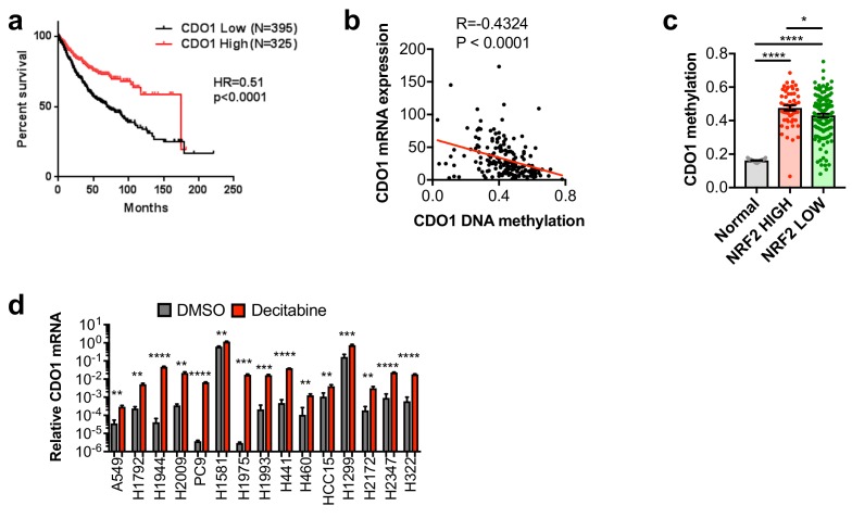 Figure 3—figure supplement 1.