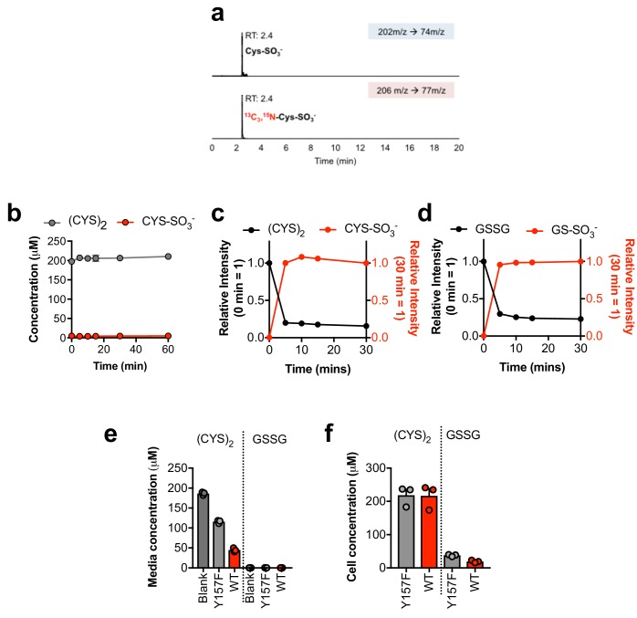 Figure 5—figure supplement 1.