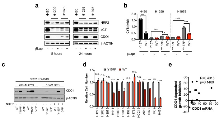 Figure 3—figure supplement 3.