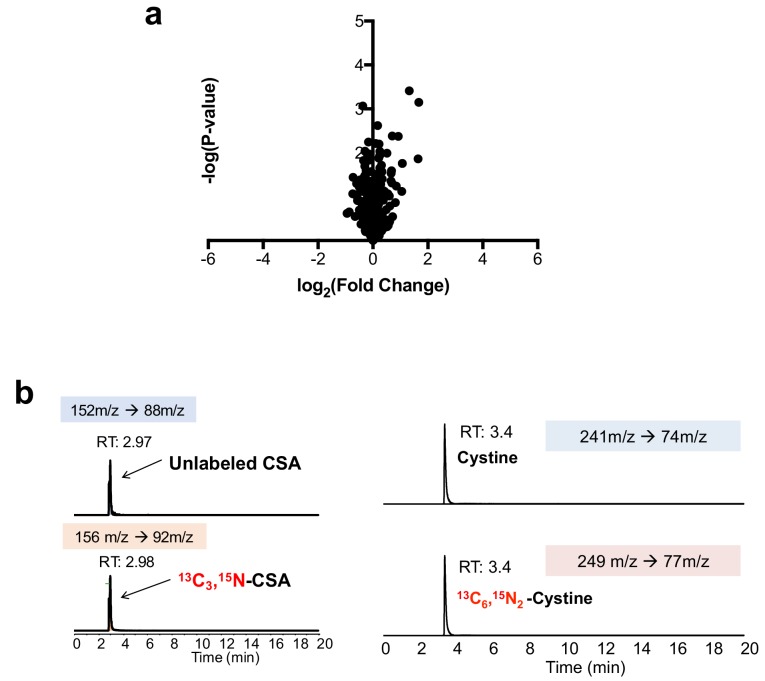 Figure 1—figure supplement 1.