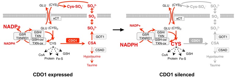 Figure 9.