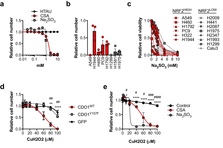 Figure 5—figure supplement 4.