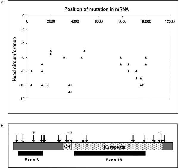 Figure  2