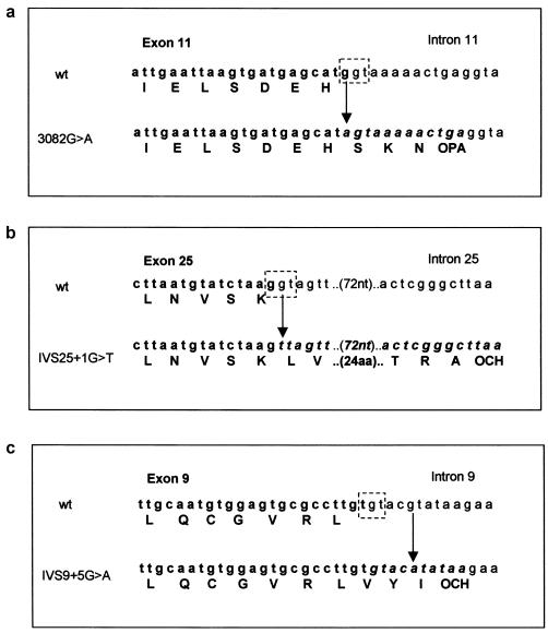 Figure  3