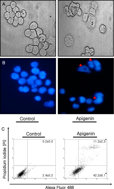 Fig. 2