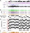 Fig. 4.