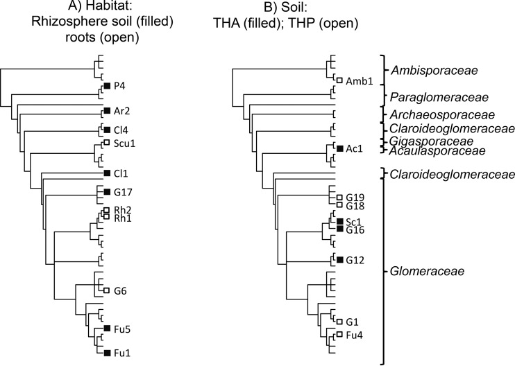 FIG 1