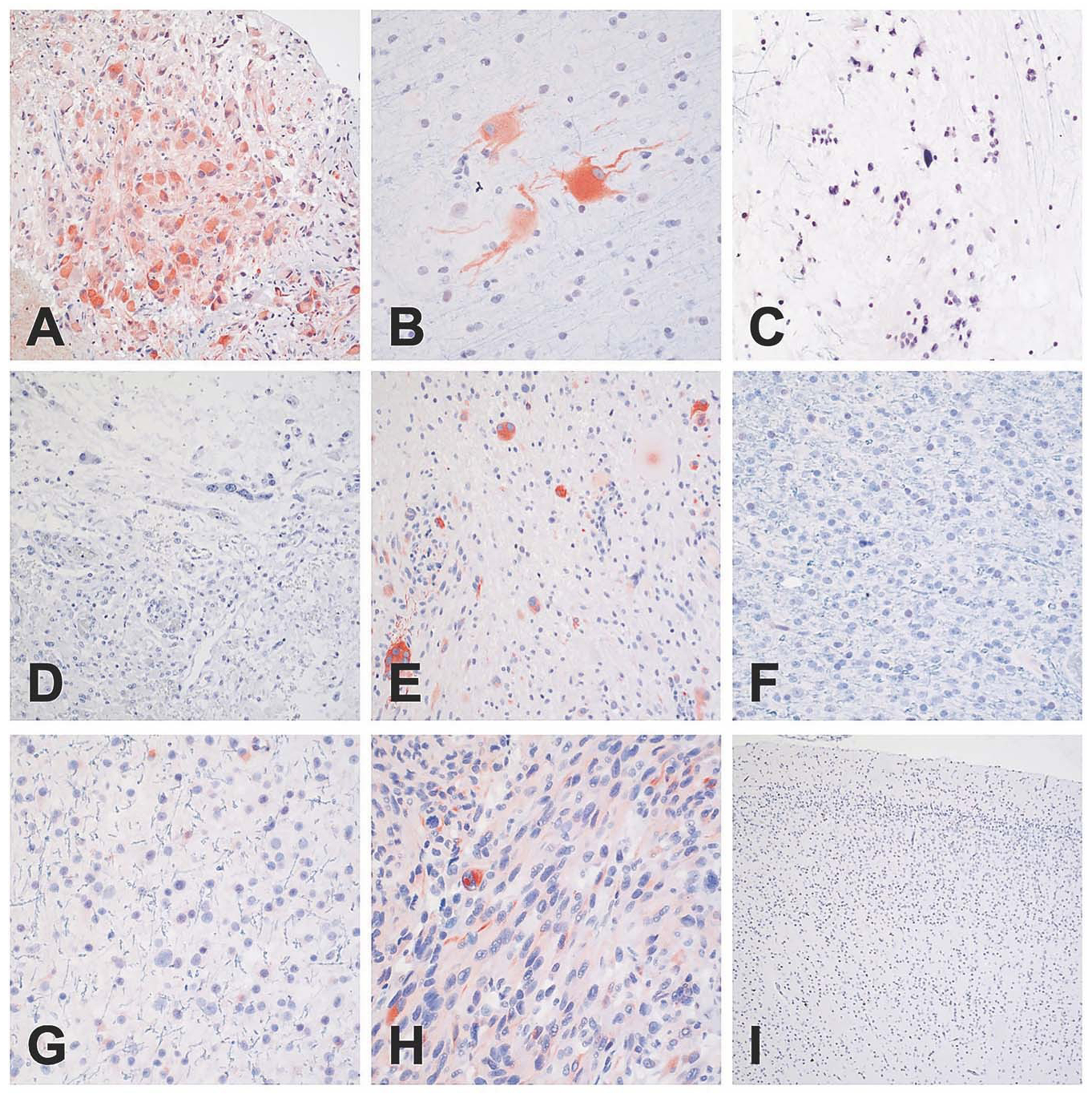 Fig. 7: