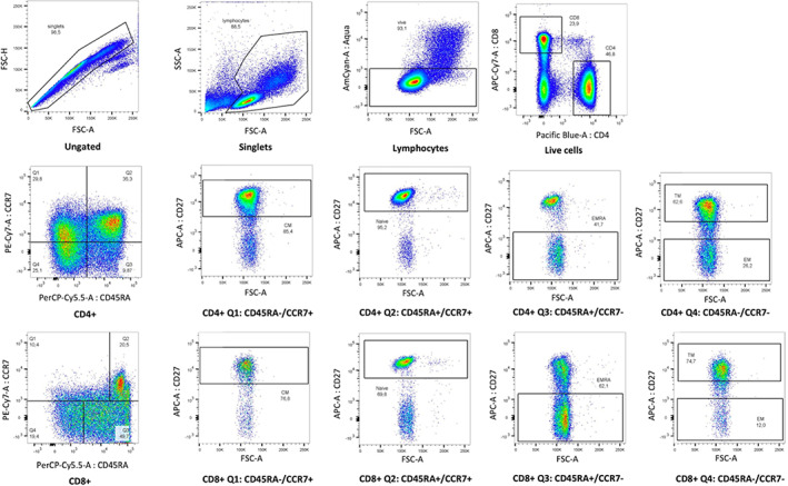 FIGURE 2