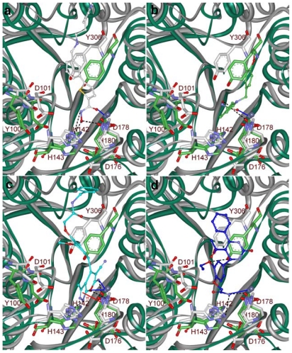 Figure 10