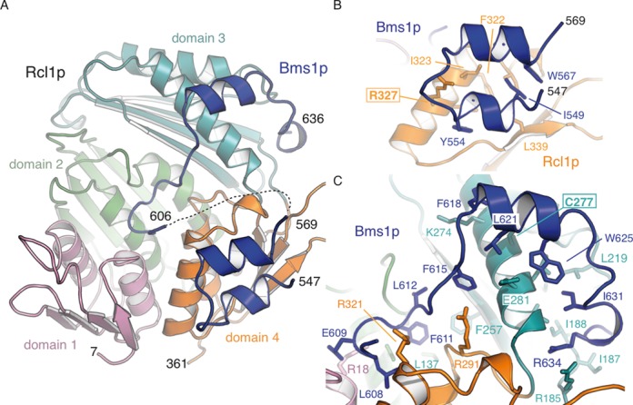 Figure 2.