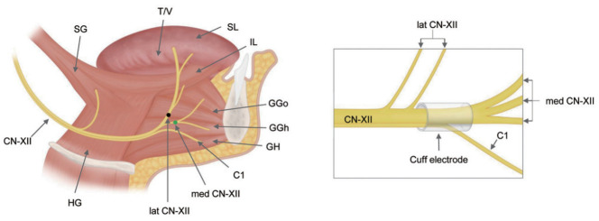 Fig. 3.