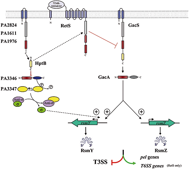 Fig. 11