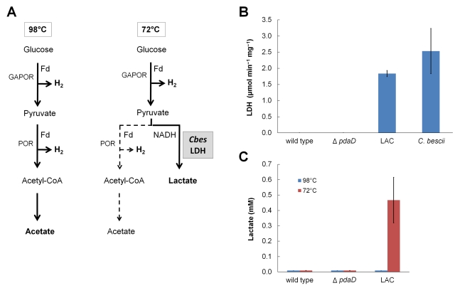 FIG 1 