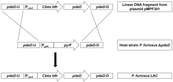 FIG 3 