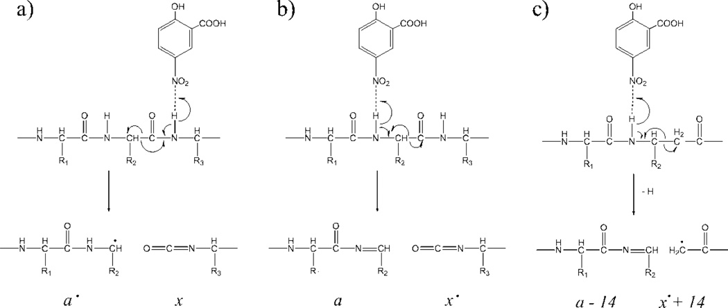 Scheme 2