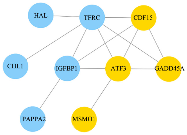 Figure 7