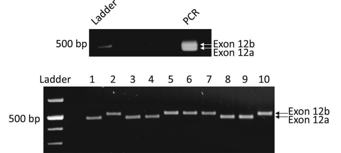 FIGURE 1.