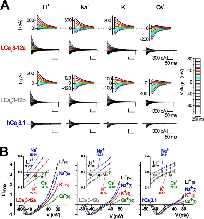 FIGURE 4.