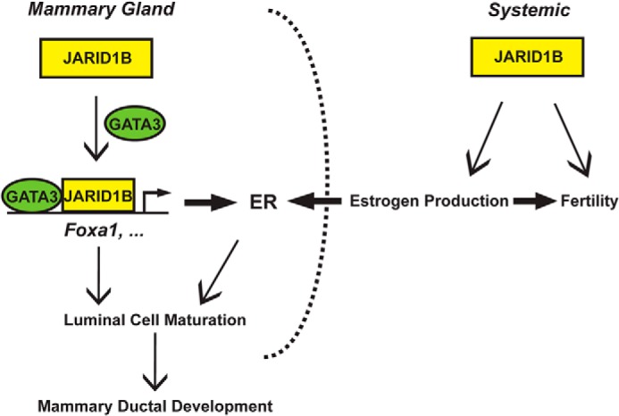 FIGURE 10.