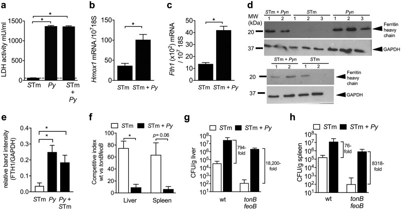 FIG 3