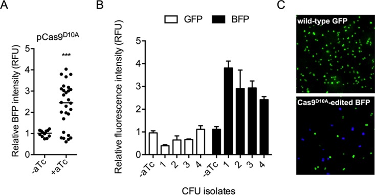 FIG 4