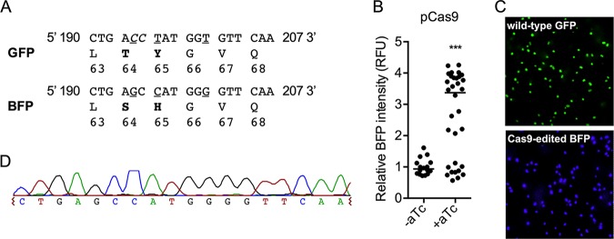 FIG 3