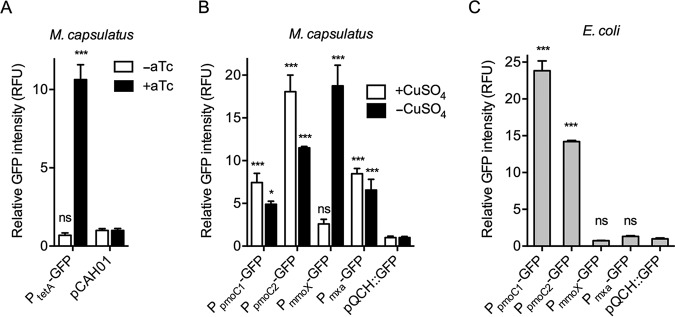 FIG 1