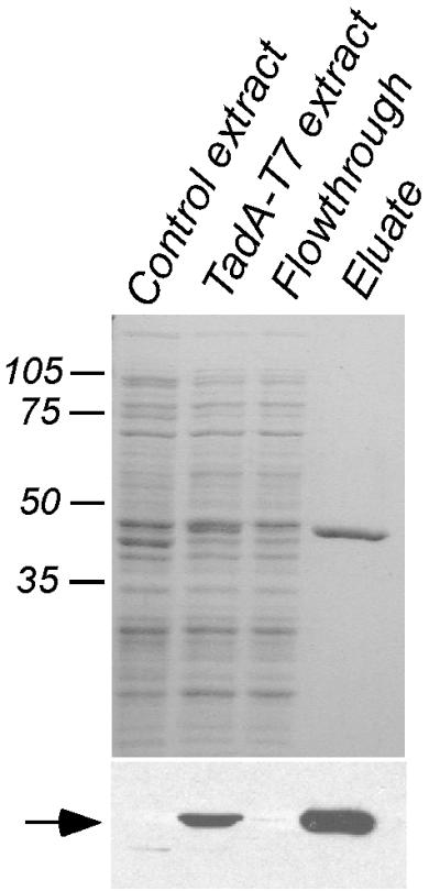 FIG. 5