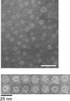 FIG. 7
